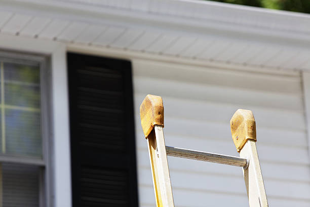 Fascia and Soffit Installation in Mililani Mauka, HI